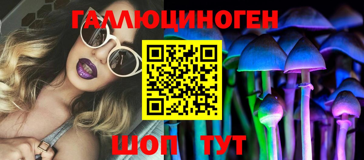 Псилоцибиновые грибы Psilocybe  Вход с VPN  Солнечногорск 